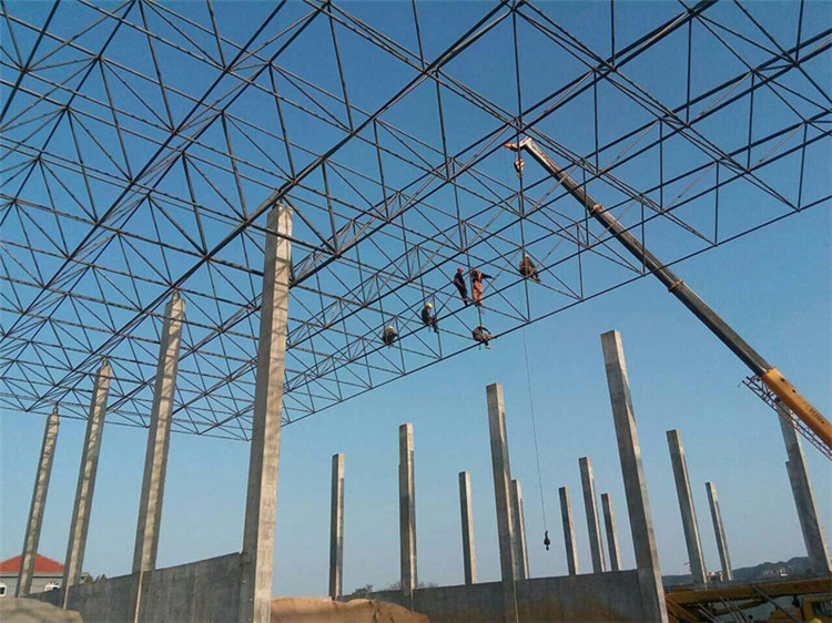 亳州加气站钢结构网架案例10